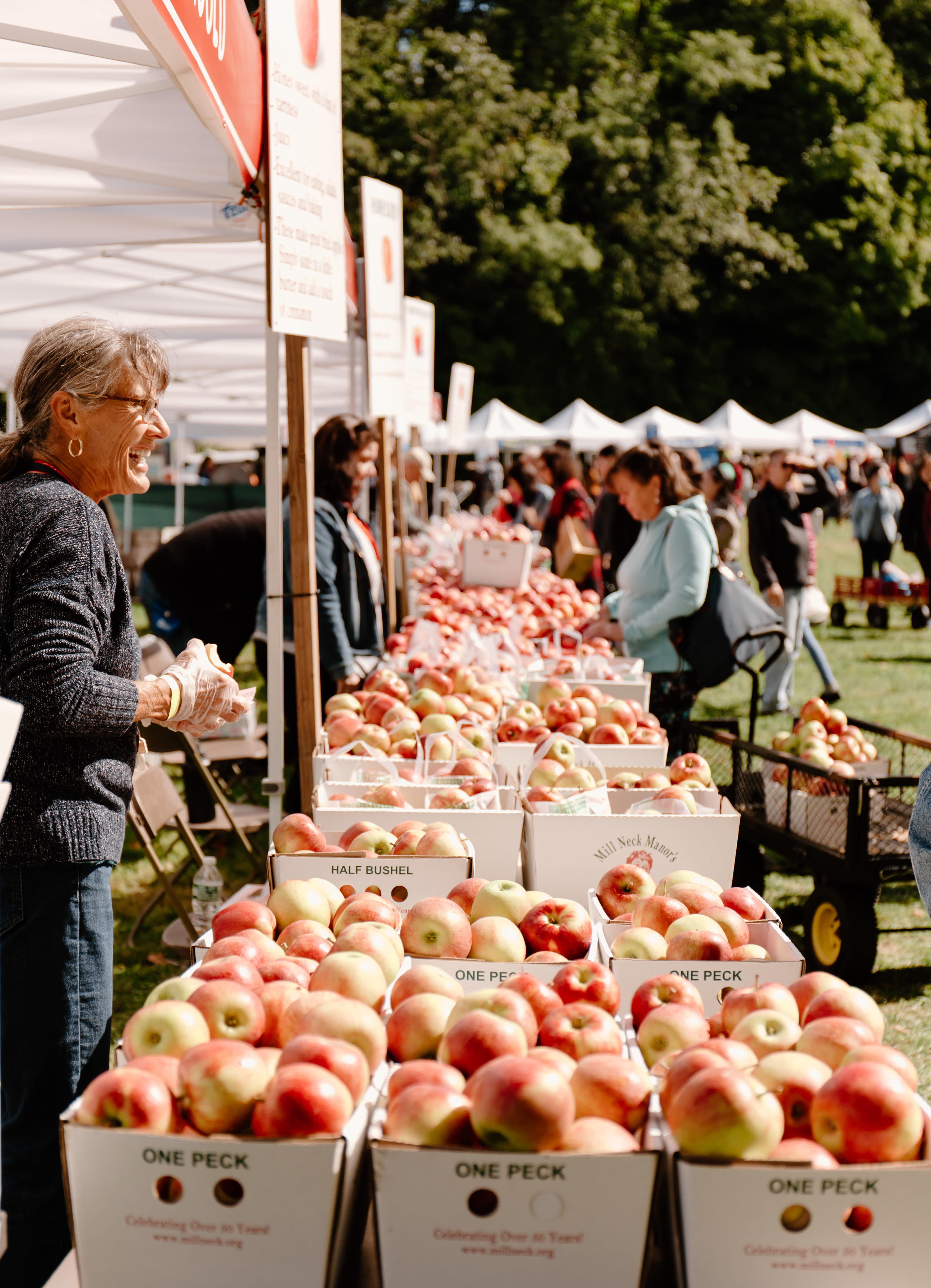 Mill Neck Apple Festival — apple stands, vendors, and visitors on the Manor House grounds